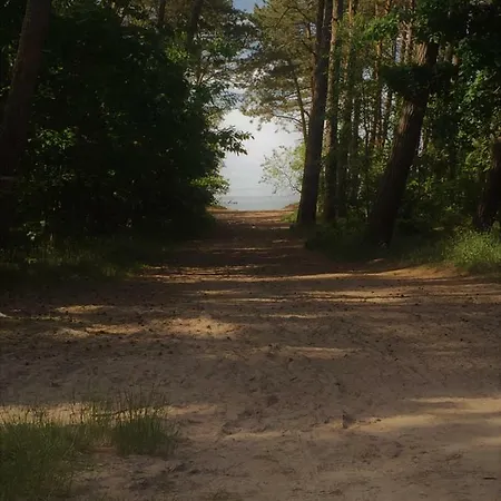 Szumimorze